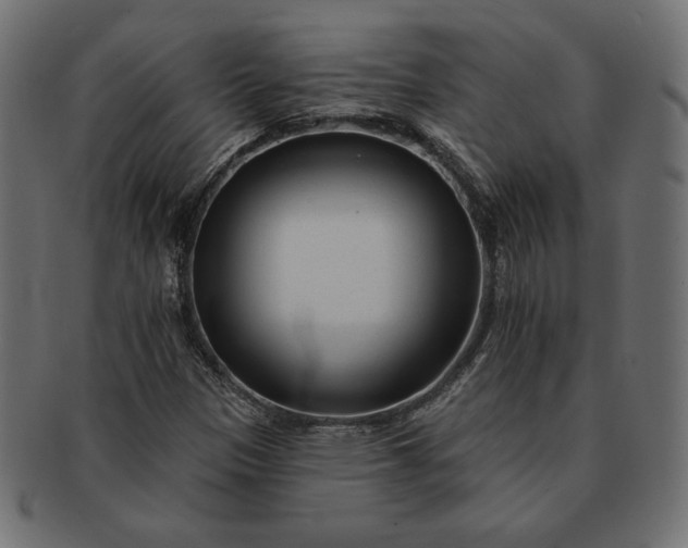 X0000091701305200709071340