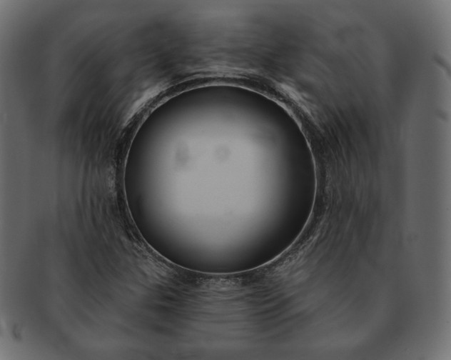 X0000091701307200709071340