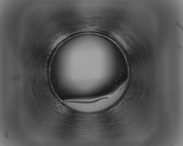 X0000091701308200709071340