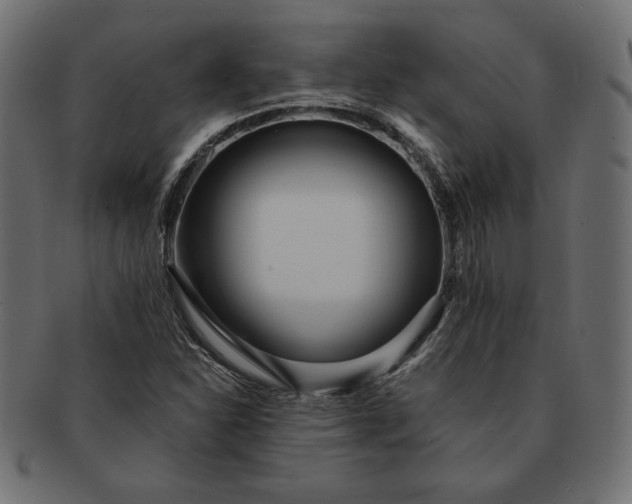 X0000091701310200709071340