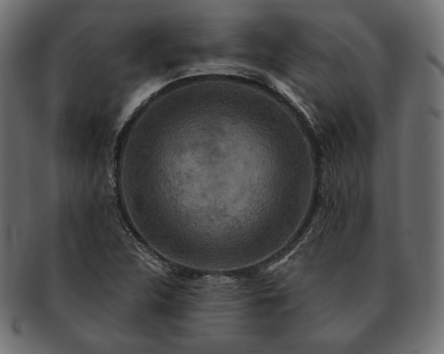 X0000091701312200709071340