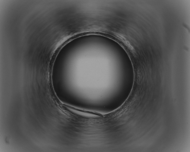 X0000091701316200709071340