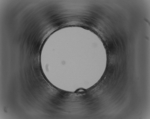 X0000091701322200709071340