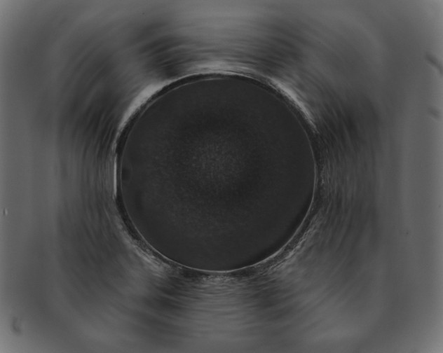 X0000091701323200709071340