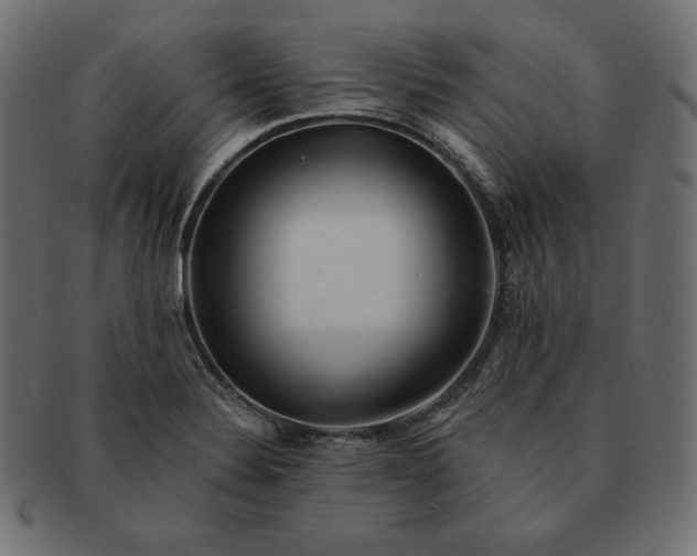 X0000091701324200709071340