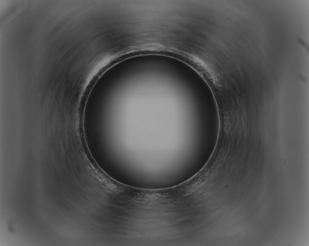 X0000091701326200709071340