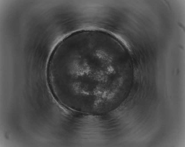 X0000091701327200709071340