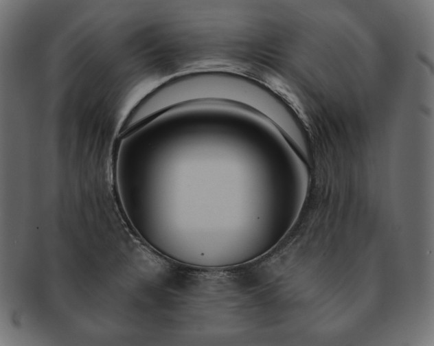 X0000091701328200709071340