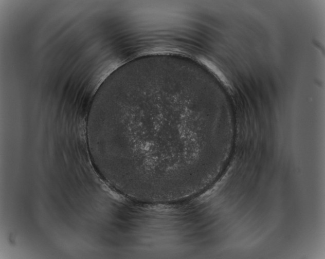 X0000091701329200709071340