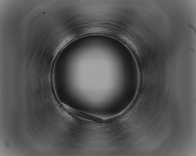 X0000091701330200709071340