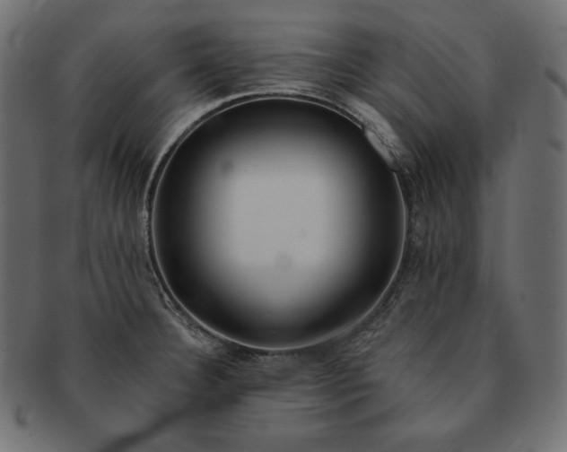 X0000091701332200709071340