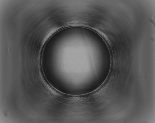 X0000091701333200709071340