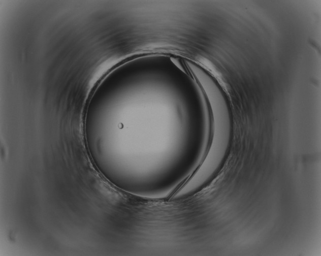 X0000091701336200709071340