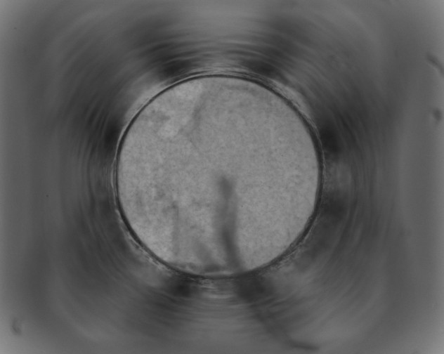 X0000091701338200709071340