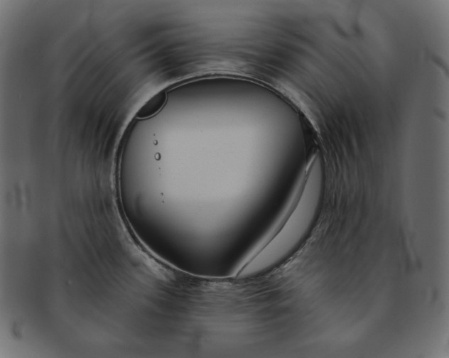 X0000091701339200709071340