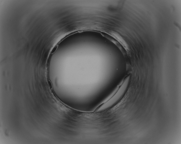 X0000091701340200709071340