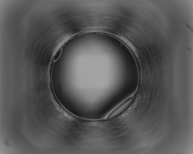 X0000091701341200709071340