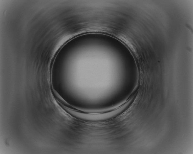 X0000091701342200709071340