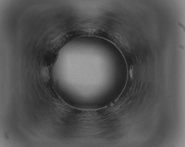 X0000091701347200709071339