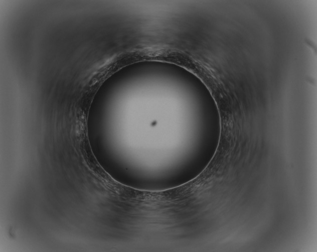 X0000091701349200709071339