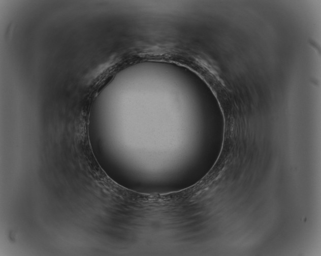 X0000091701350200709071339