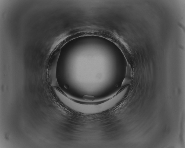 X0000091701352200709071339