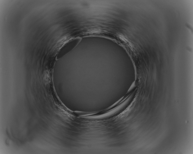 X0000091701353200709071339