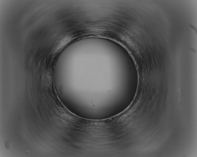 X0000091701354200709071339