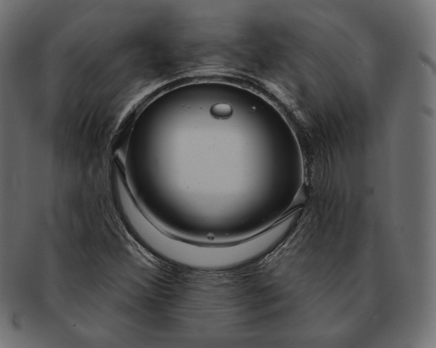 X0000091701356200709071339