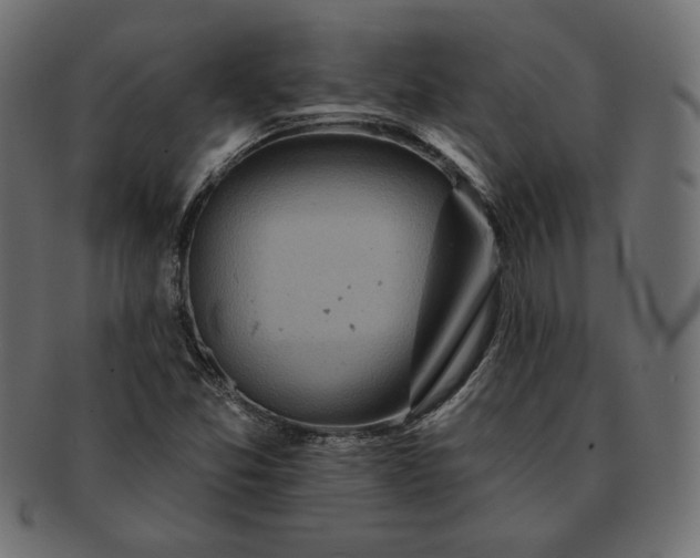 X0000091701357200709071339