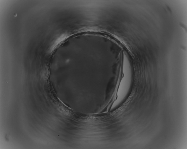 X0000091701359200709071339