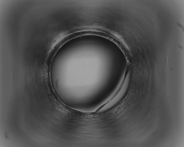 X0000091701360200709071339