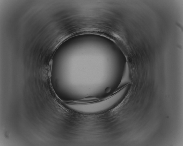 X0000091701361200709071339