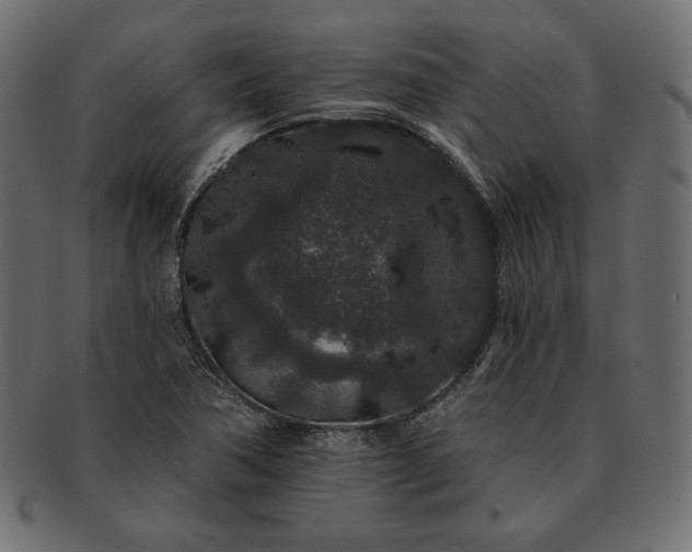 X0000091701362200709071339