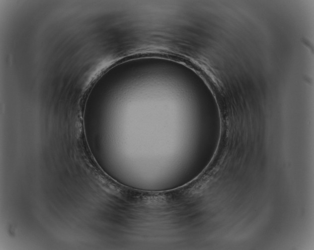 X0000091701363200709071339