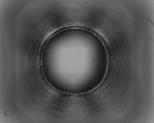 X0000091701364200709071339