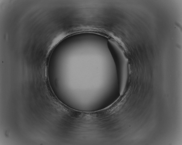 X0000091701365200709071339