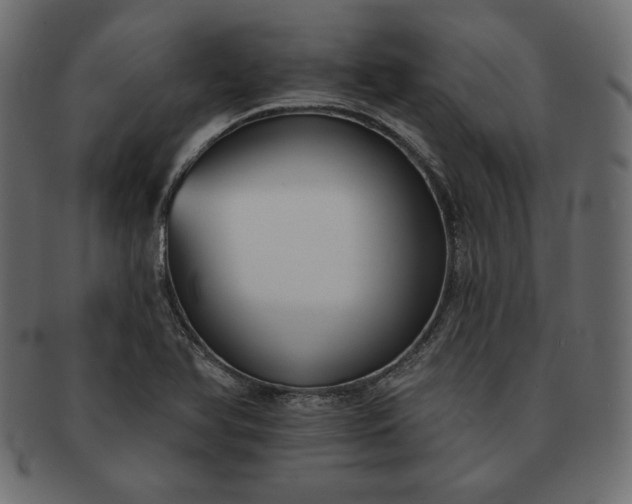 X0000091701366200709071339