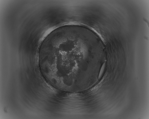 X0000091701367200709071339