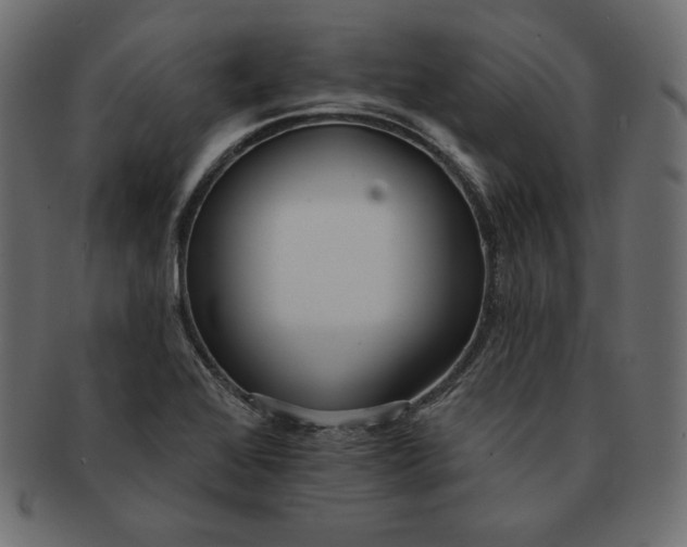 X0000091701368200709071339