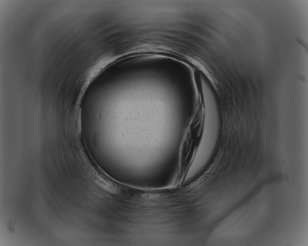 X0000091701371200709071339