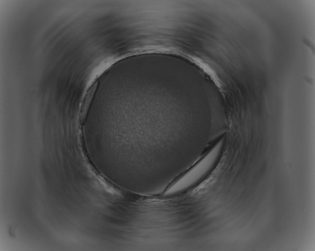 X0000091701373200709071339