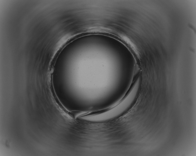 X0000091701376200709071339