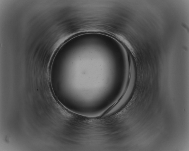 X0000091701380200709071339