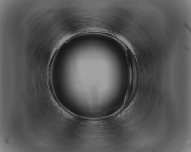 X0000091701381200709071339