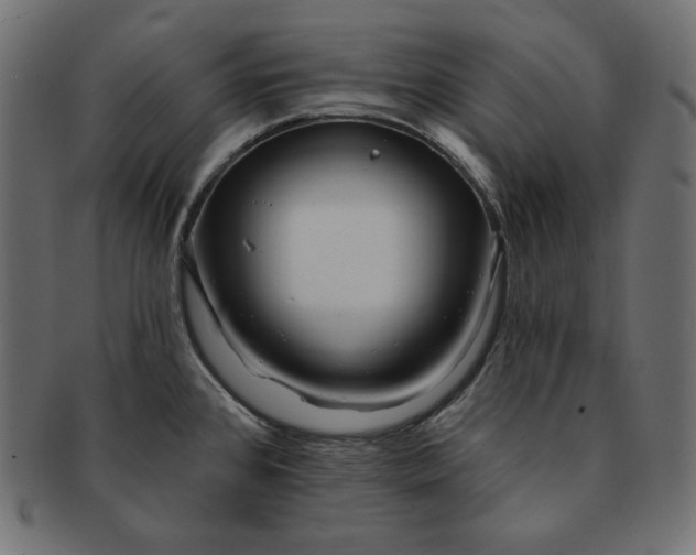 X0000091701384200709071339