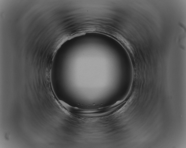 X0000091701385200709071339