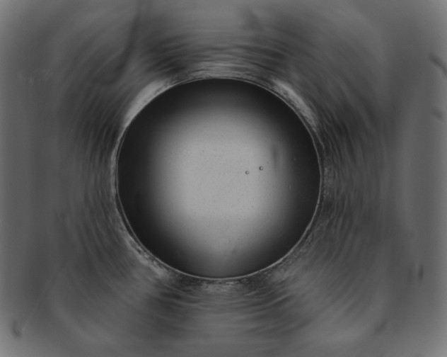 X0000091701386200709071339