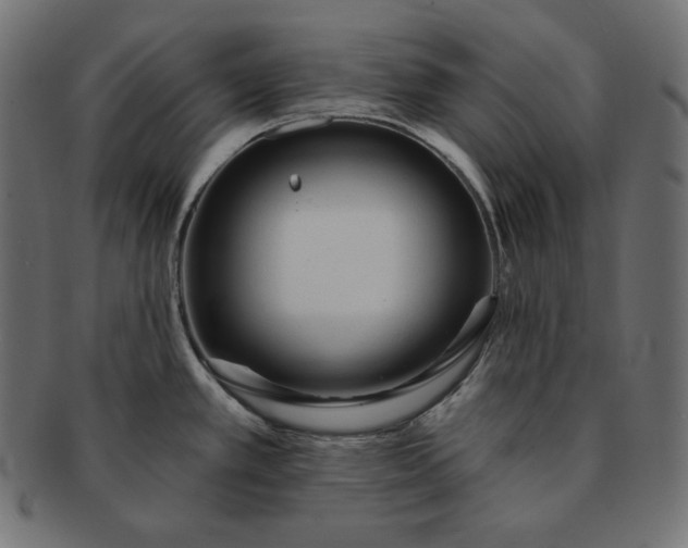 X0000091701389200709071339