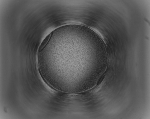 X0000091701391200709071339